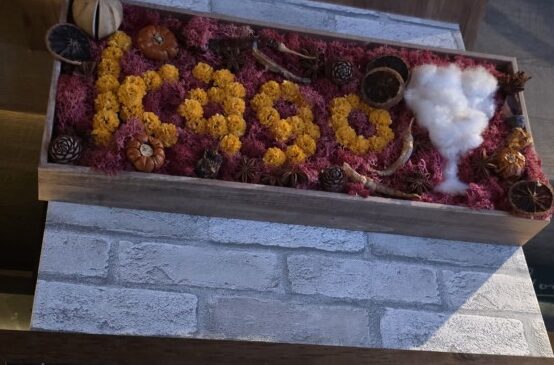 来月５月は４周年