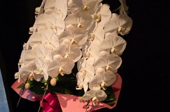 お花を頂きました